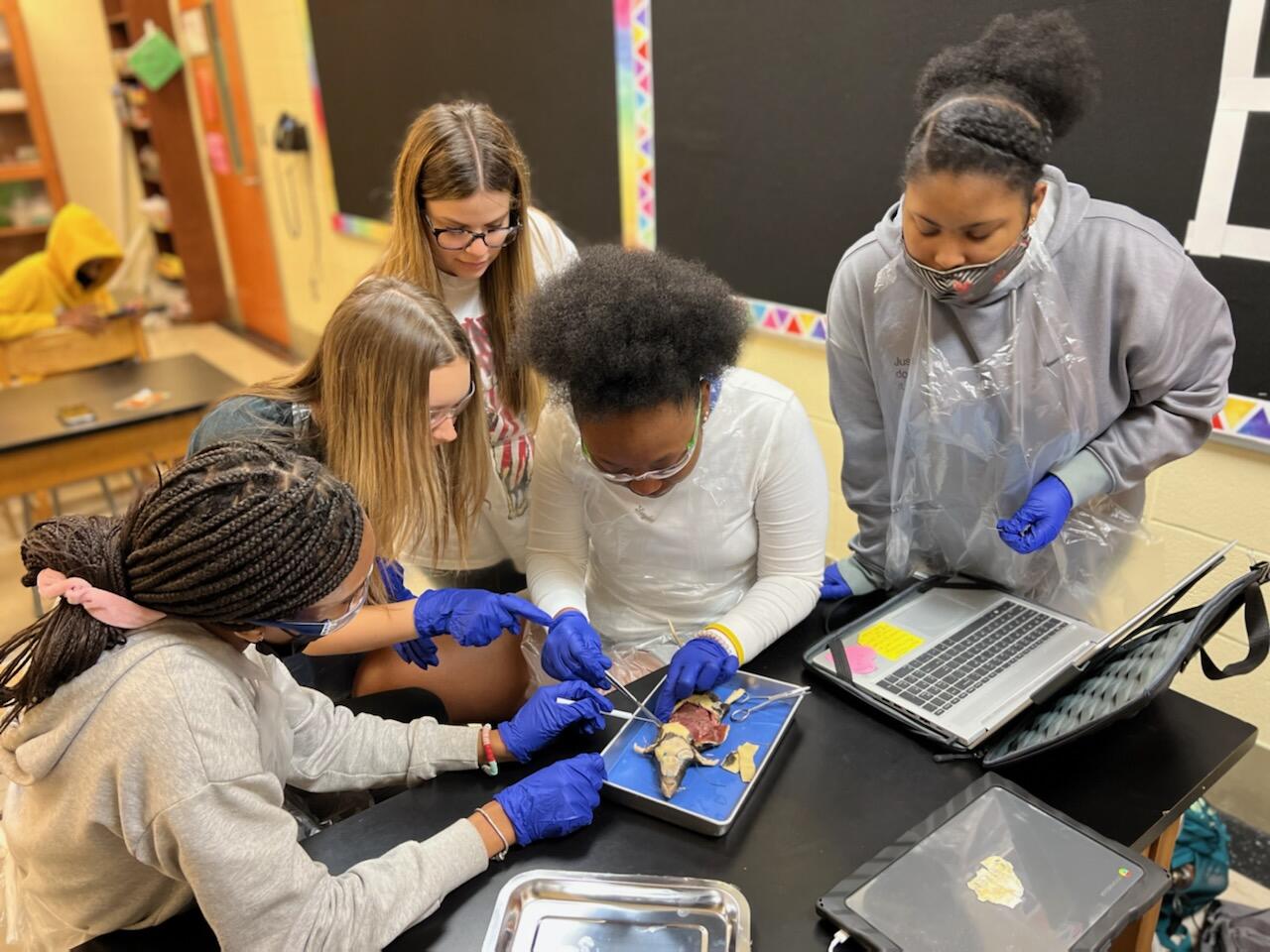 AJHS students work in lab on dissection activity