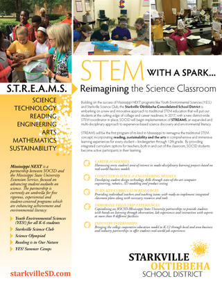 Thumbnail of STREAMS flyer, available for pdf download