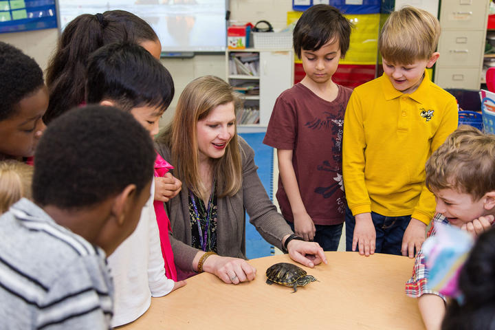 Teacher showing turtle to students 